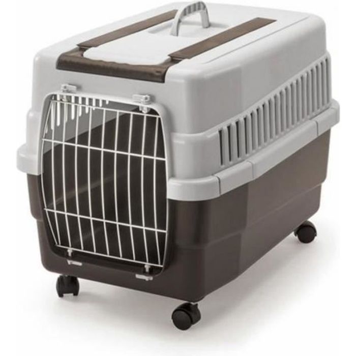 Caisse de transport Kim 60 sur Roulettes pour C…