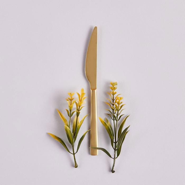 Couteau - BELLA MAISON - Gold - 100% Acier inoxydable - 1 pièce - Pour adulte