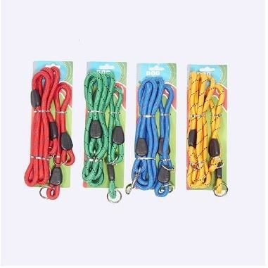 Laisse et collier de chien
