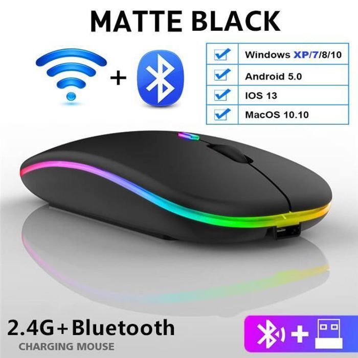 Souris ordinateur,Souris ergonomique sans fil,Bluetooth,2.4GHz,RGB,Wifi,silencieuse,Rechargeable,pour Macbook- Black 2.4G and BT