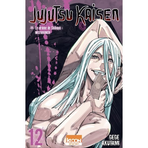 Jujutsu Kaisen T12                                 - Akutami Gege - Livres - Manga Comics Ados-adultes(0)