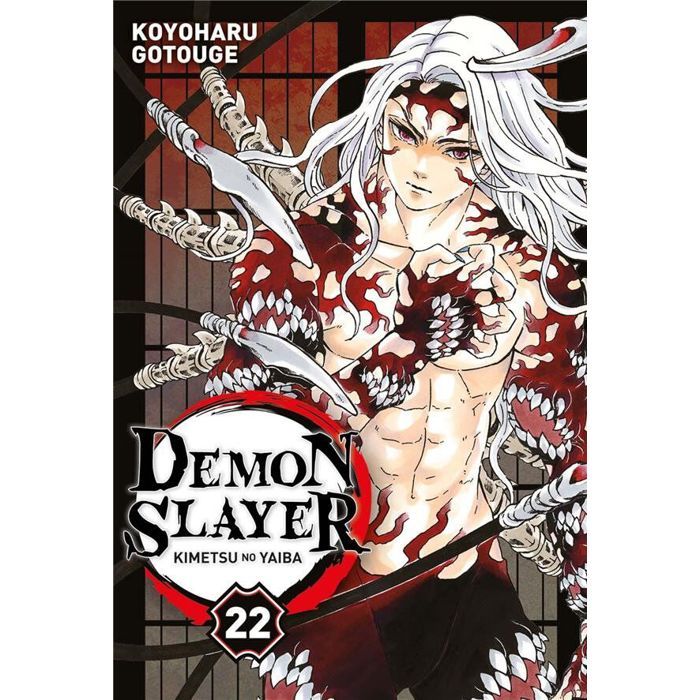 Demon Slayer Tome 22 - Slayer - Collection Demon Slayer - Manga - Volume 22 - Aventure fantastique