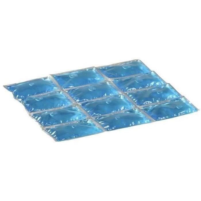 Accumulateur de Froid Flexi Freez'Pack Medium - CAMPINGAZ - Bleu - 11 à 18 L - Plastique