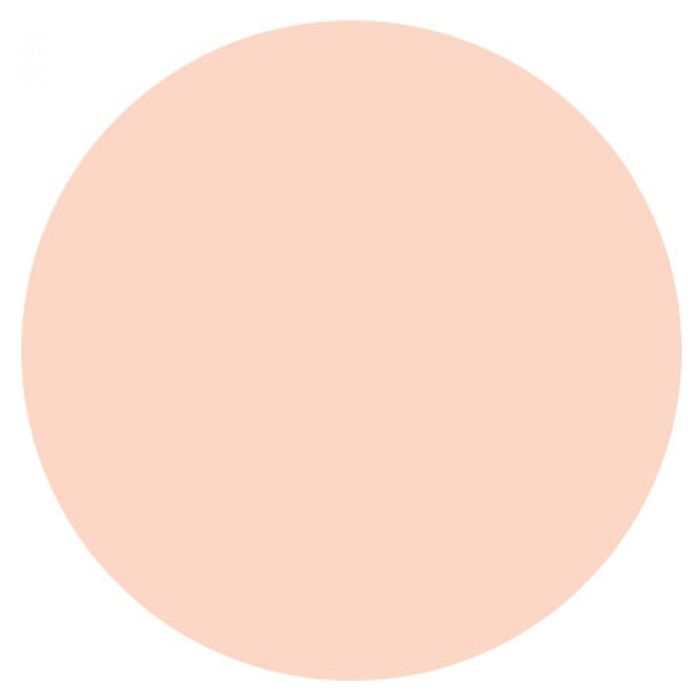 Covermark Concealer n1 Stick 6g