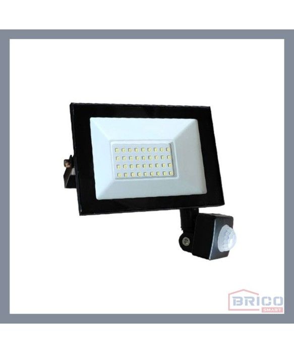 PROJECTEUR LED COLORADO AVEC DETECTEUR 50W 6500K