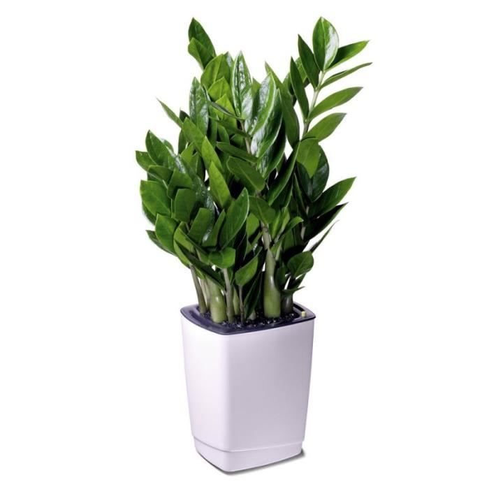 Pot de fleurs G-Life Chester Blanc nacré 16 x 1…