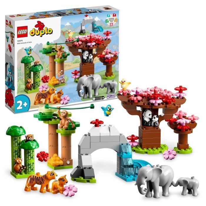 LEGO10974