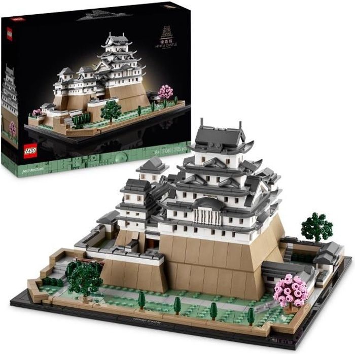 LEGO21060