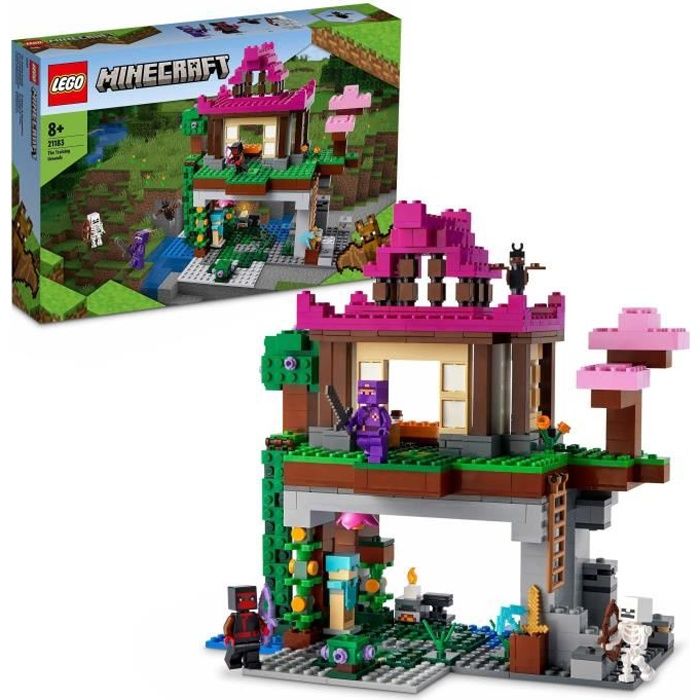 LEGO21183