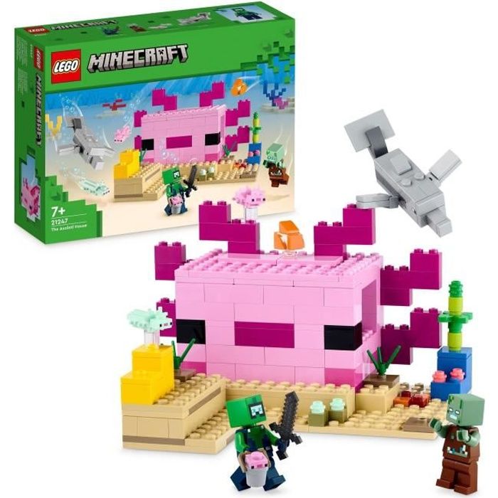 LEGO21247