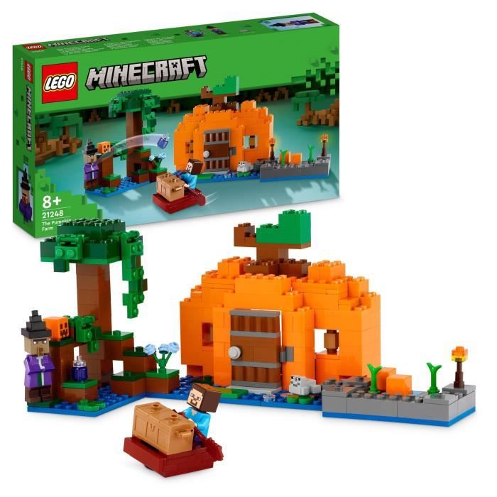 LEGO21248