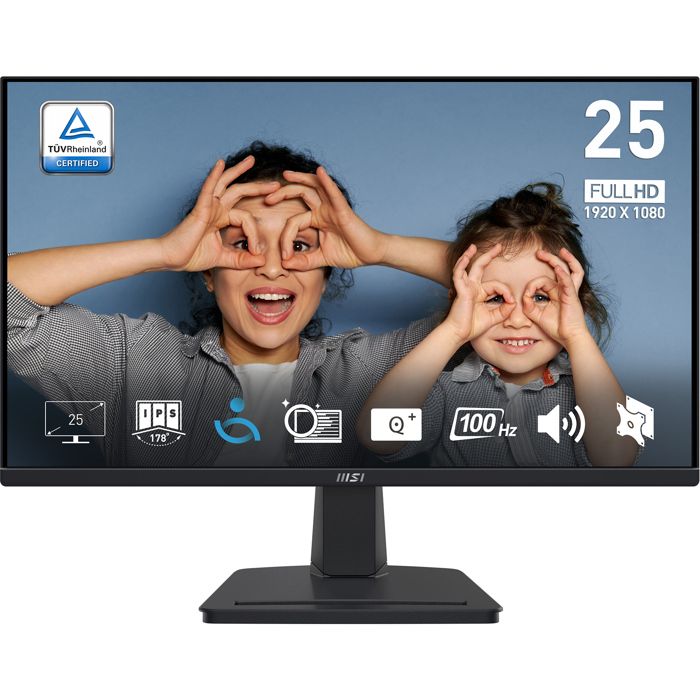 Ecran PC MSI PRO MP251