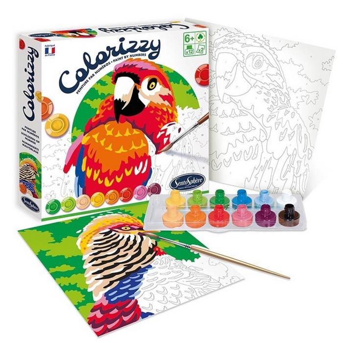 Peinture Colorizzy - Sentosphère - Oiseaux - Kit enfant - Couleurs vibrantes et couvrantes