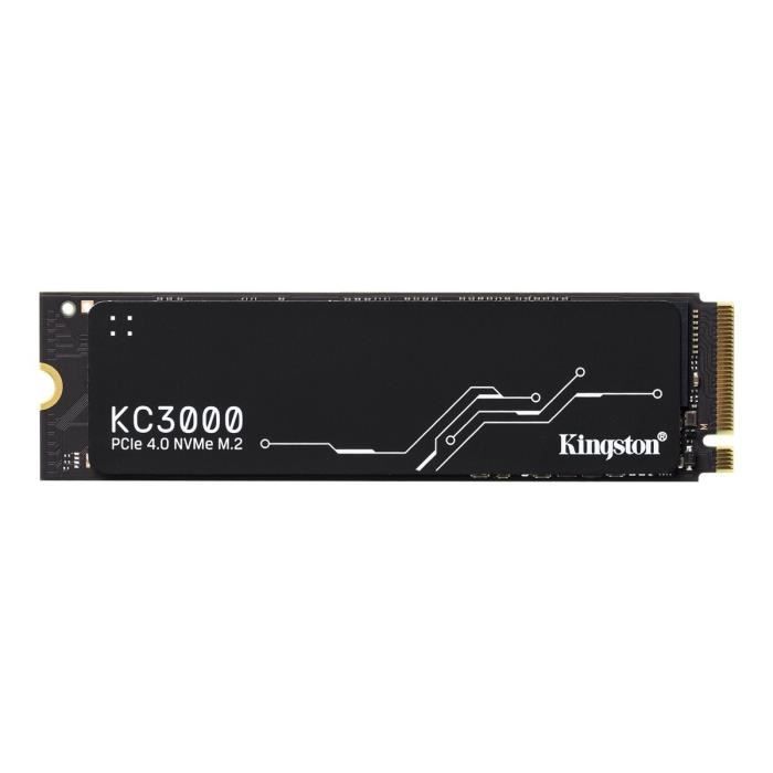 SKC3000S512G