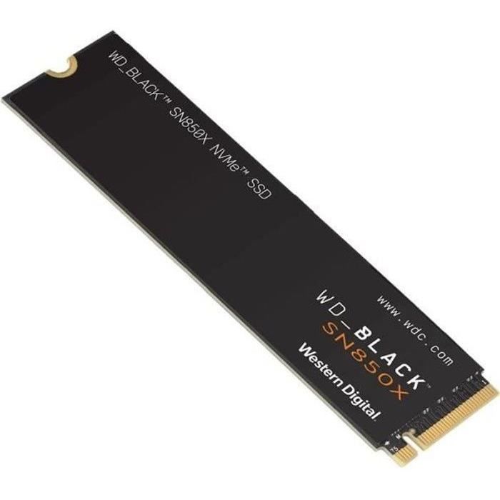 WDS100T2X0E