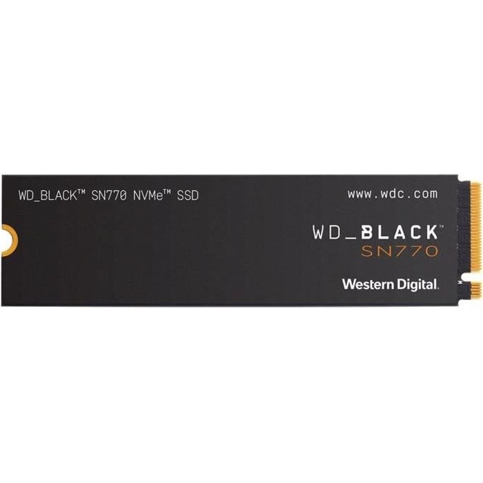 WDS200T3X0E
