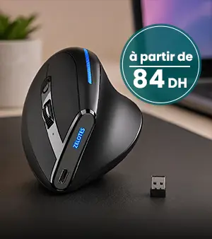 Souris à partir de 84dh